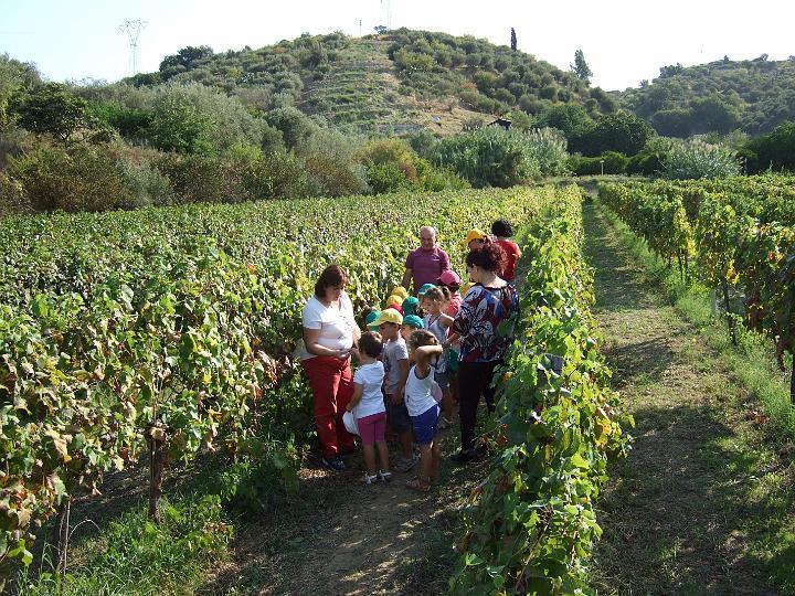Agriturismo Parra Santa Lucia del Mela Exterior photo