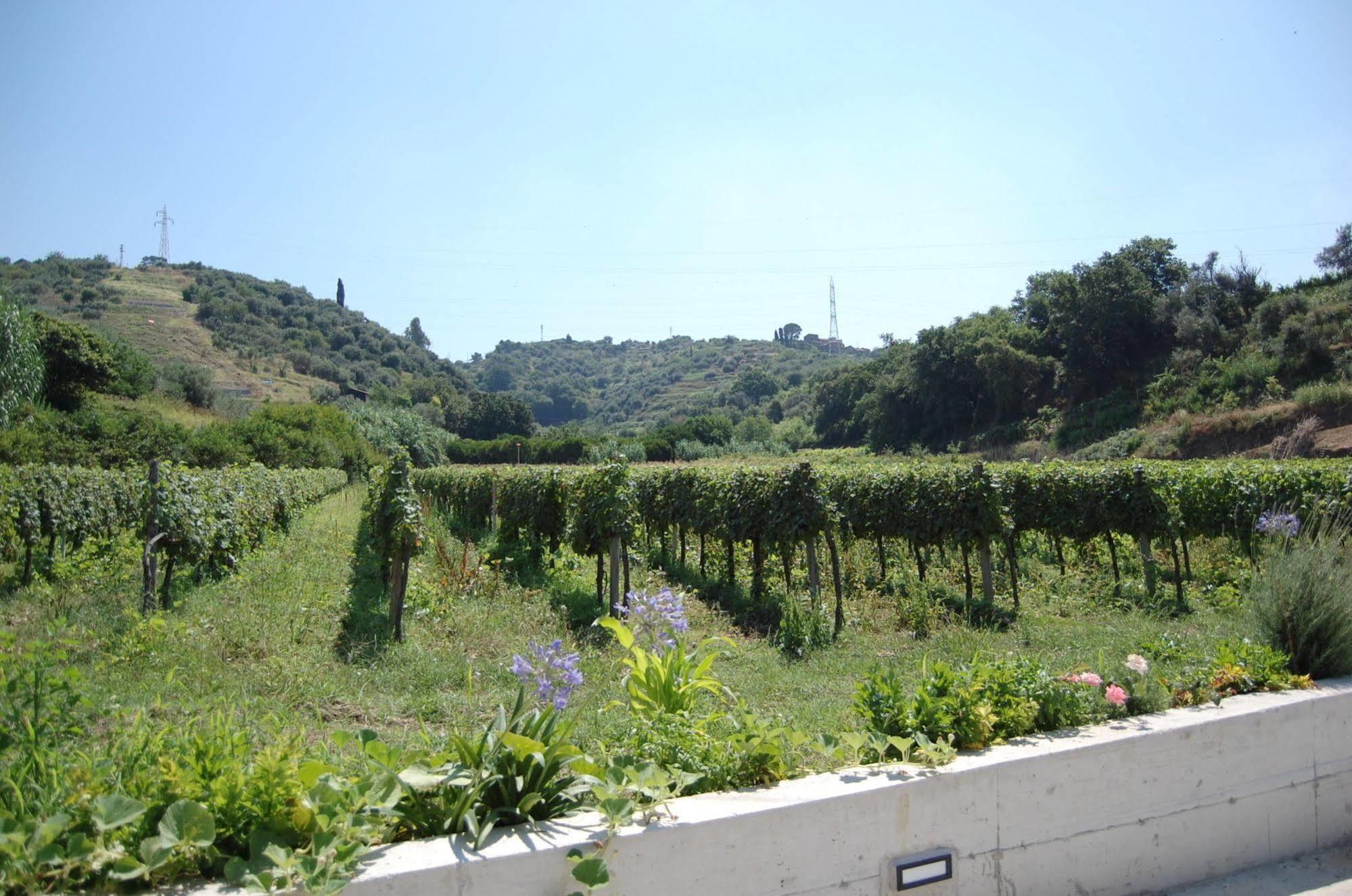 Agriturismo Parra Santa Lucia del Mela Exterior photo